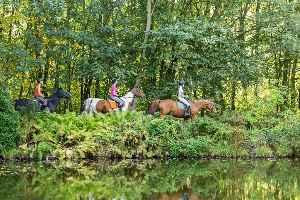 Rancho Slezanski Mlyn Szczepanów Exteriör bild