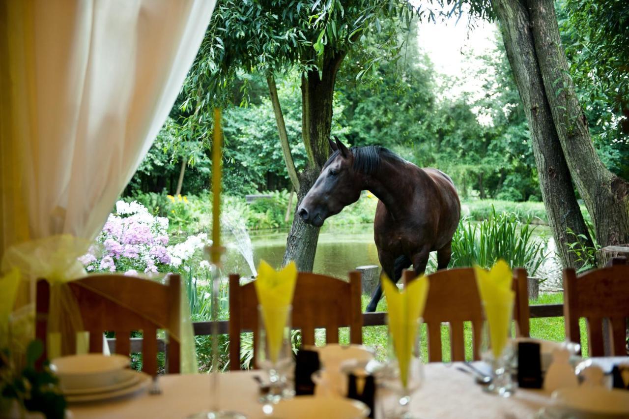 Rancho Slezanski Mlyn Szczepanów Exteriör bild